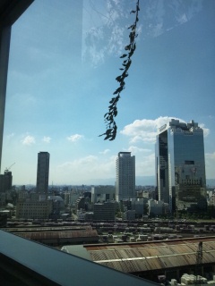 �~�c�X�J�C�r��